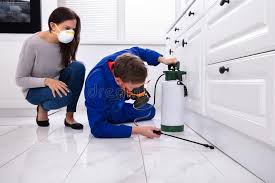 Real Estate Pest Inspections in Sebastian, TX